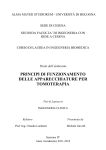 Documento PDF - AMS Tesi di Laurea