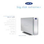big disk extreme plus esata Manual