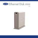 ethernet disk mini Manual