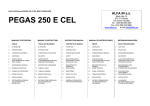 NA101-03 Manual PEGAS 250 E CEL MULTI LANGUAGE