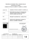 capitolato norme tecniche - Friuli Venezia Giulia Strade SpA