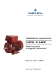 LSRPM - PLSRPM Installazione e manutenzione