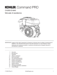 CH260-CH440 Manuale di assistenza