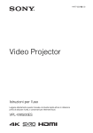 Video Projector