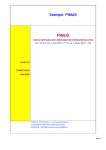 Esempio PIMUS - PEZZELLA COSTRUZIONI sas
