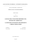 Documento PDF - AMS Tesi di Laurea