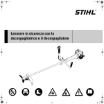 Lavorare in sicurezza con la decespugliatrice e il