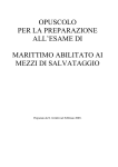 spiaggiamento dei mezzi di salvataggio