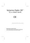 Schermo Piatto 20”