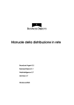 Manuale della distribuzione in rete