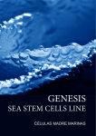 GENESIS - Tratamientos de Alta Cosmética Marina