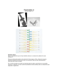 Fascination® 2 - dental vargas arboleda