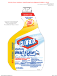 Bleach Foamer