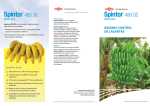 Triptico Spintor platanera 10x21_NL.indd