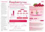 FOLDER Triestop Raspberry