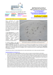 DryPlates® CANDI - Laboratorios MICROKIT