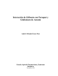 Interacción de Glifosato con Paraquat y Glufosinato de