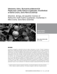 Infestación, daño y fluctuación poblacional de Phyllocnistis citrella