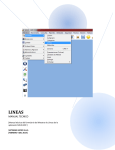 Lineas - sistema de información