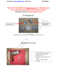 Manual de Instalación de Separador en L Kawasaki Versys