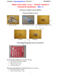 Spanish Manual de Instalacion Bieleta Standard