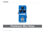 Flashback Mini Delay