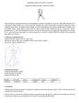 LUMINARIA SUBACUATICA MOD. ILU915914 MANUAL