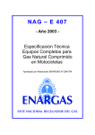NAG – E 407 - Ente Nacional Regulador del Gas
