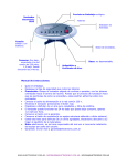 Manual de Instrucciones