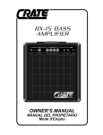 BX-15 BASS AMPLIFIER