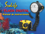 FLASH DIGITAL FLASH DIGITAL