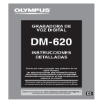 instrucciones detalladas grabadora de voz digital