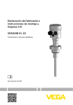 Instrucciones de servicio - VEGAVIB 61, 63