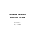 Data View Generator Manual de Usuario