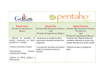 Paquete básico Pentaho Comprehensive Report