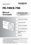 FE-190/X-750