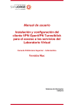 Manual de usuario Instalación y configuración del cliente VPN