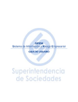 Manual de Usuario - Superintendencia de Sociedades