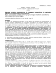 Descargar formato pdf