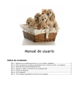 Manual de usuario - Plaquitas Costa Rica
