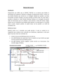 Manual de Usuario RUR-PLE