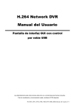 H.264 Network DVR Manual del Usuario