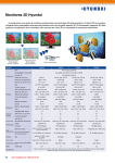 Pdf Catálogo: Monitores Hyundai 3D