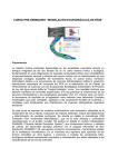 curso pre-seminario “modelación ecohidráulica de ríos”