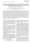 Artículo completo (PDF — 162 Kb)