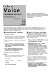 Voice EXPANSION BOARD VE-JV1