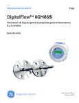 DigitalFlow™ XGM868i - GE Measurement & Control