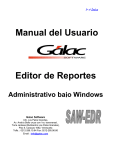 Manual del Usuario Editor de Reportes