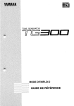 Qu`est ce que le TG300?