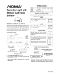 Security Light with Motion